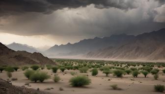 Deutschland verhandelt direkt mit Taliban über Abschiebungen nach Afghanistan Deutschland verhandelt direkt mit Taliban über Abschiebungen nach Afghanistan