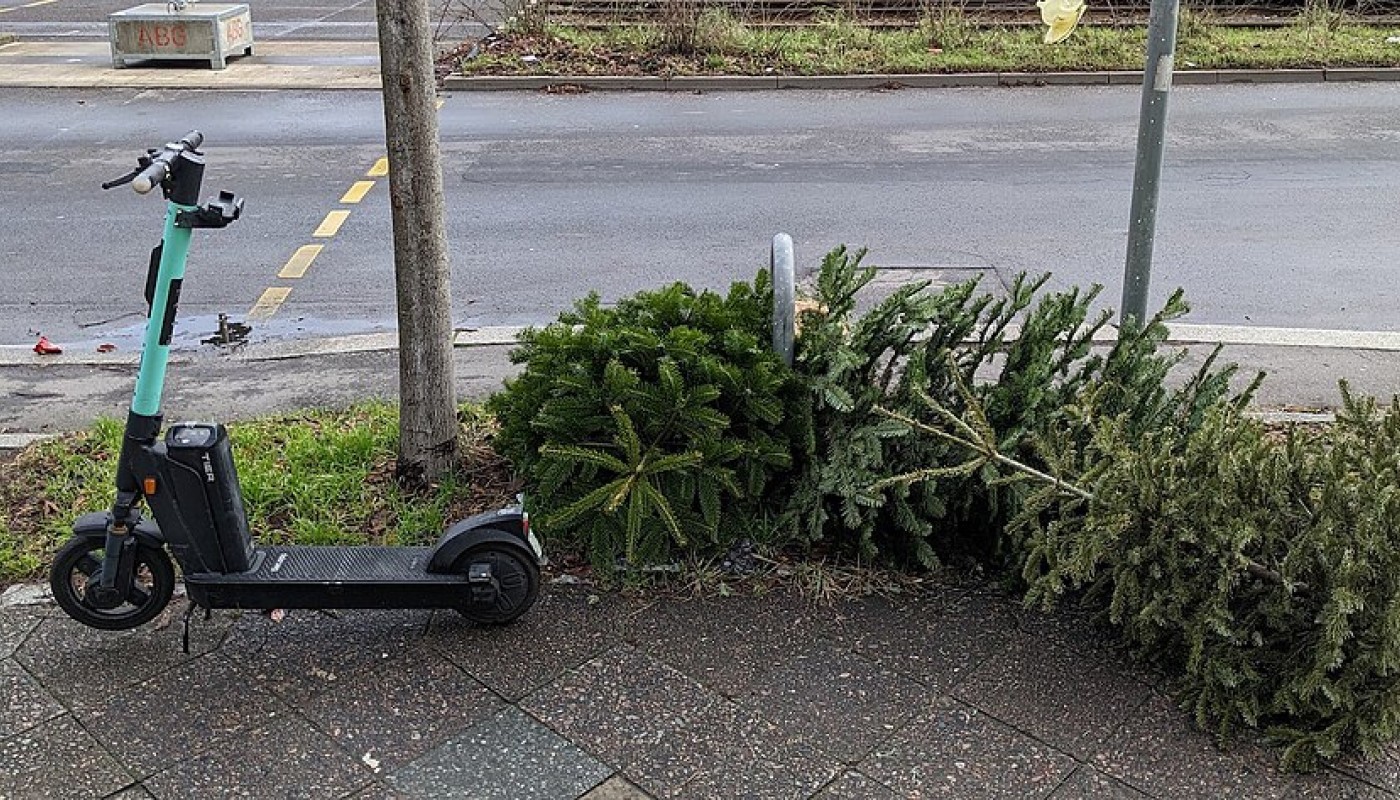 Landau holt Weihnachtsbäume gebührenfrei ab: Abholung vom 19. bis 23. Januar