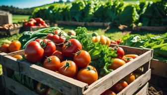 Landwirte setzen auf regionale und direkt Verbindungen statt Bio-Zertifikate